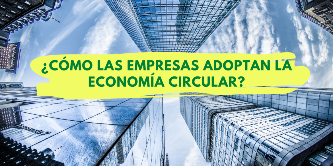 Empresas Adoptan la economía circular